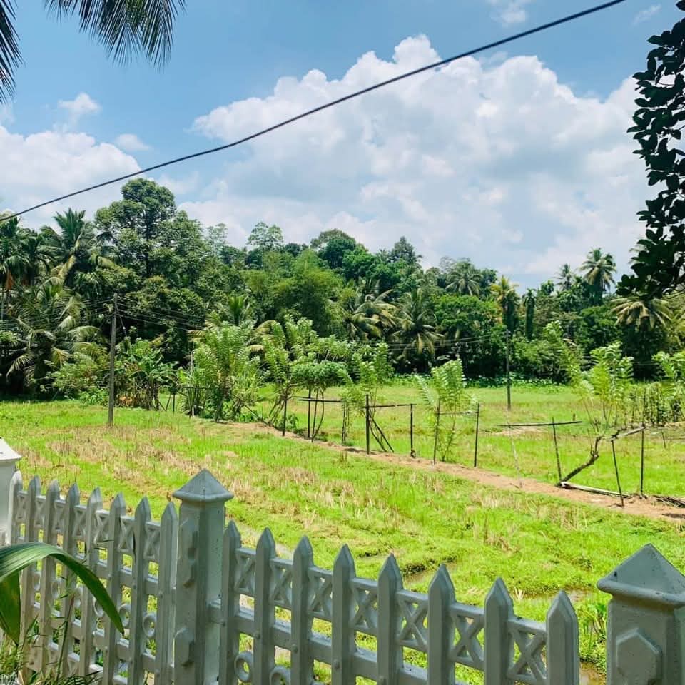 House for Sale in Adampan ads-image-1