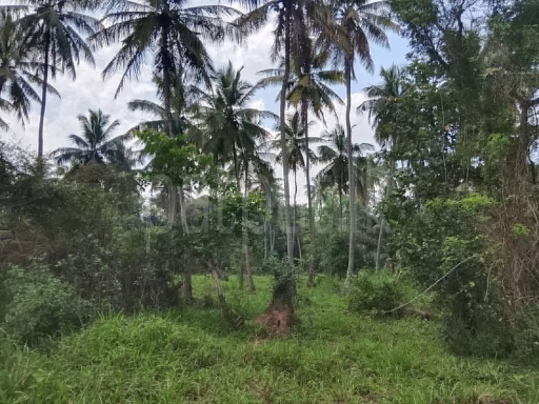 Agricultural Land for Sale in Galewela