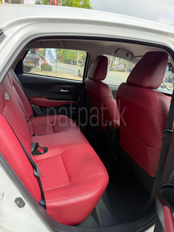 Advertisement image 6