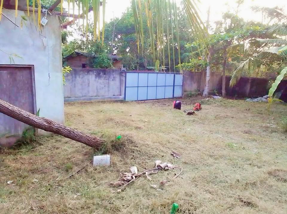 Agricultural Land for Sale in Panadura