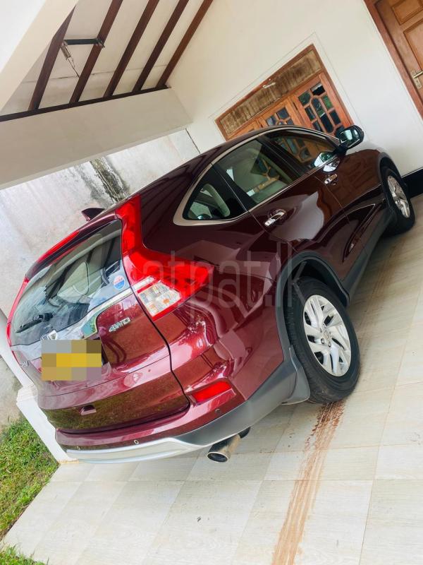 Advertisement image 3