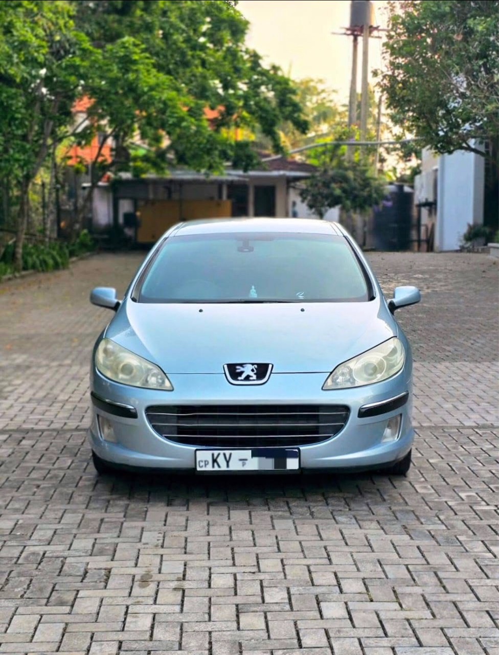 Peugeot 407 2010 ads-image-1