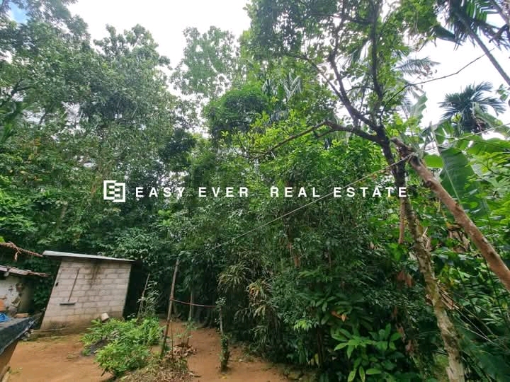 Residential Land for Sale in Mirigama