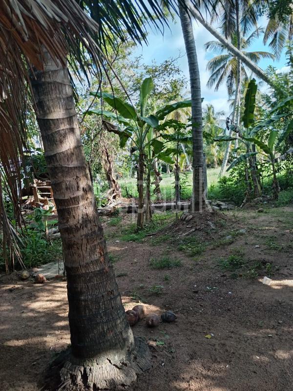 House for Sale in Kurunegala