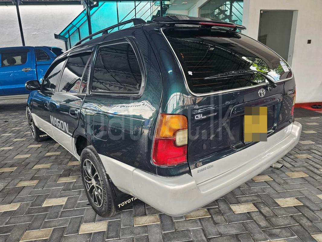 Advertisement image 3