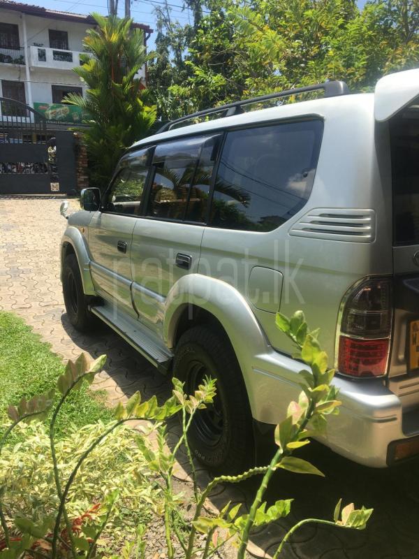 Advertisement image 5