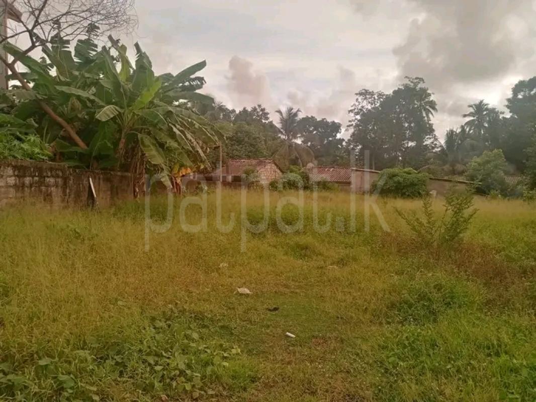 Residential Land for Sale in Alubomulla