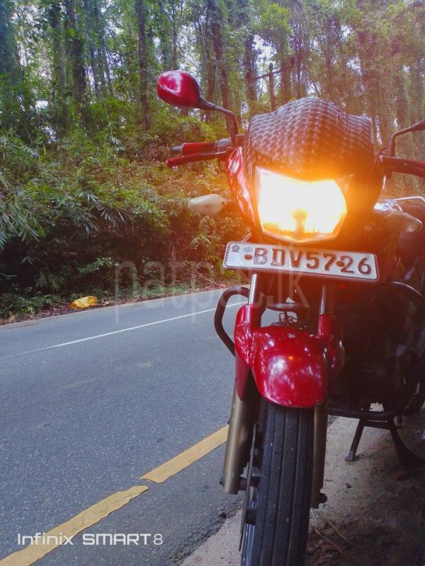 Advertisement image 6