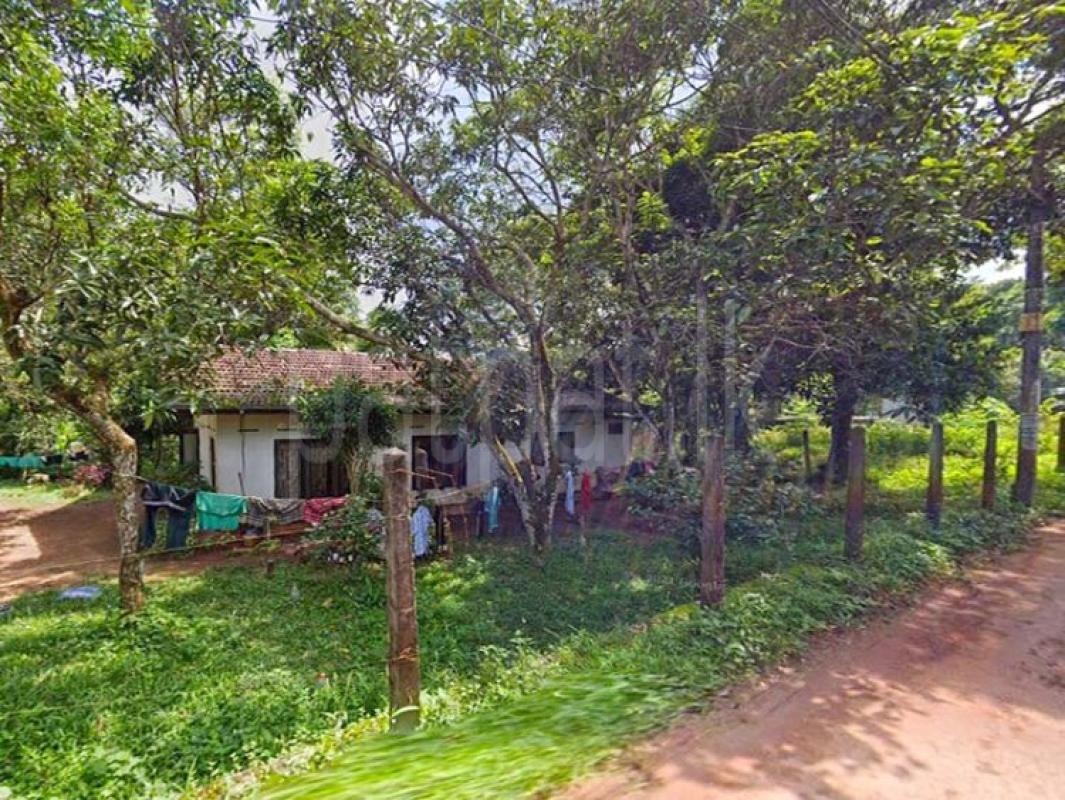 Residential Land for Sale in Gampaha