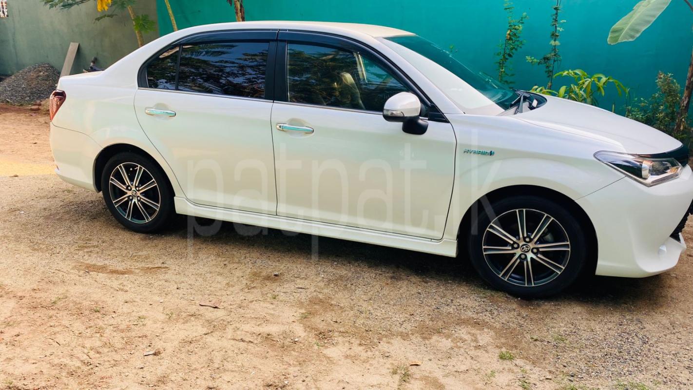 Advertisement image 3