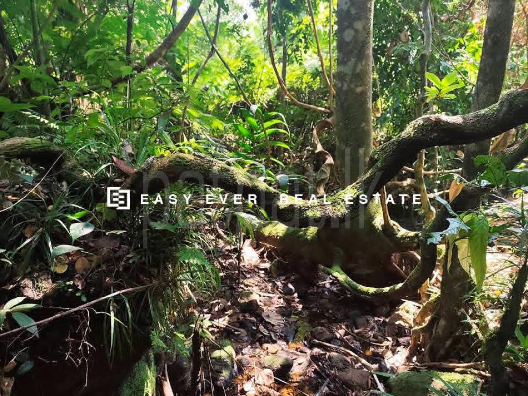 Residential Land for Sale in Ratnapura