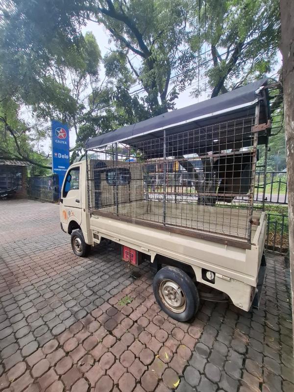 Advertisement image 4