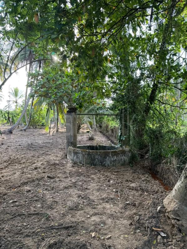 Residential Land for Sale in Ridigama ads-image-1