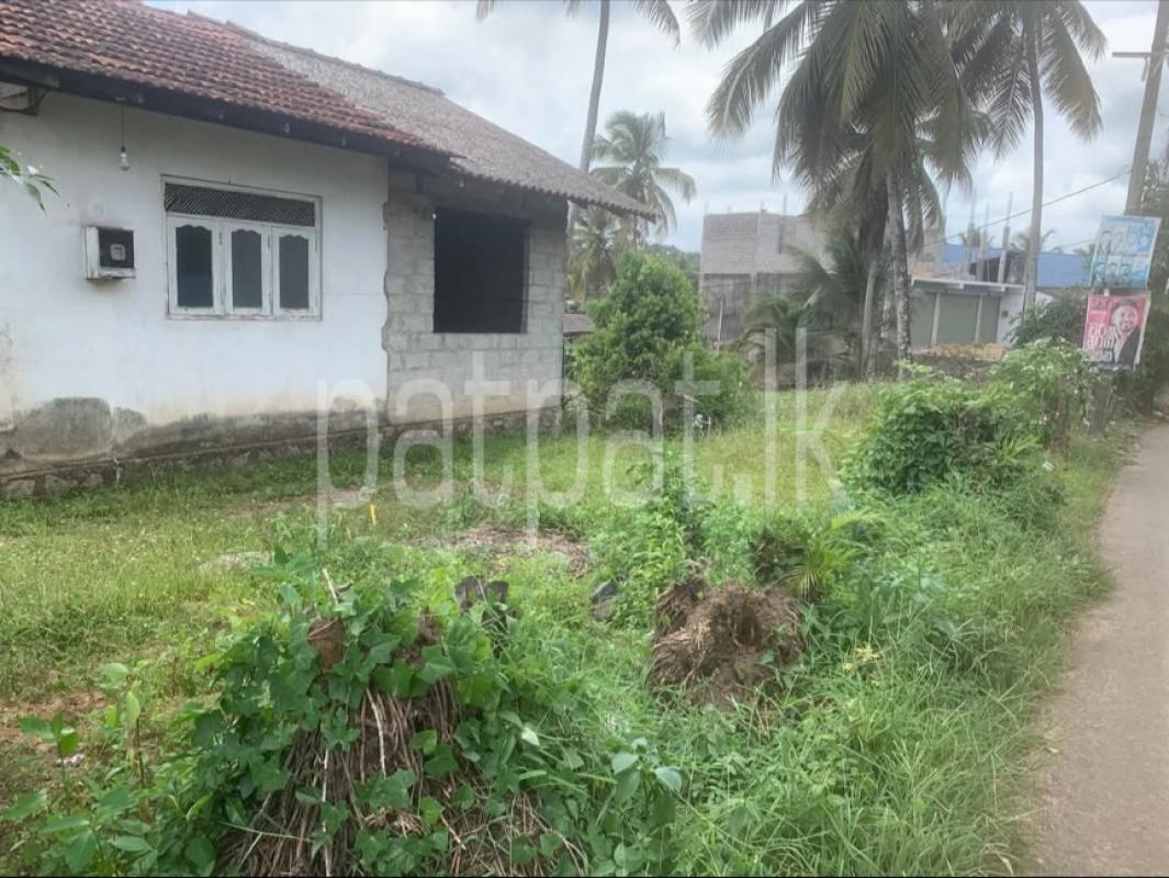 Advertisement image 1