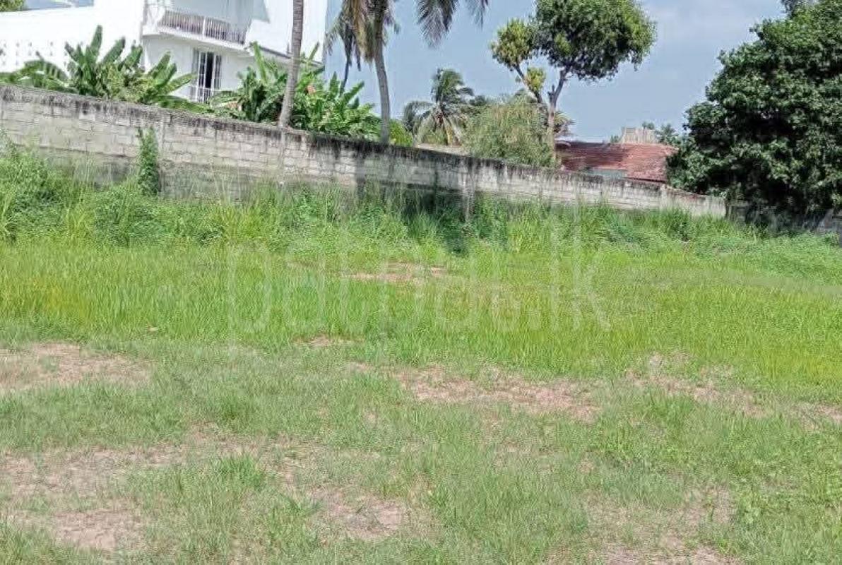 Commercial Land for Sale in Negombo