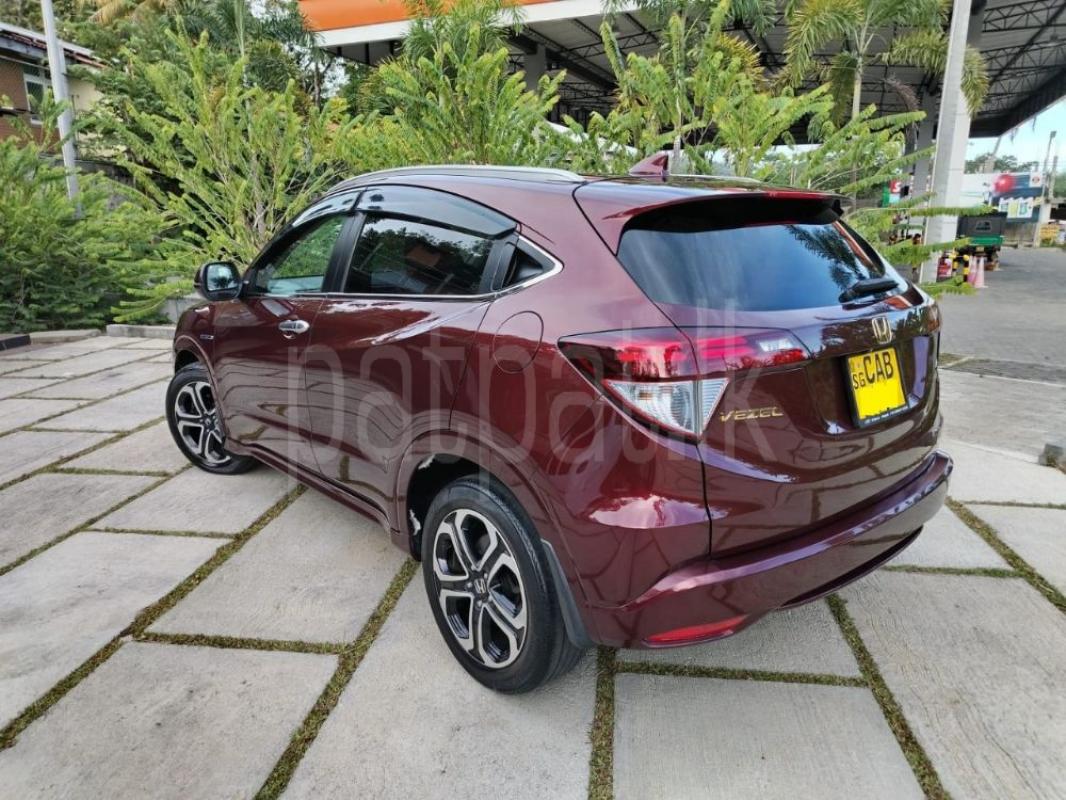 Advertisement image 5