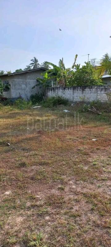 Residential Land for Sale in Pamunugama