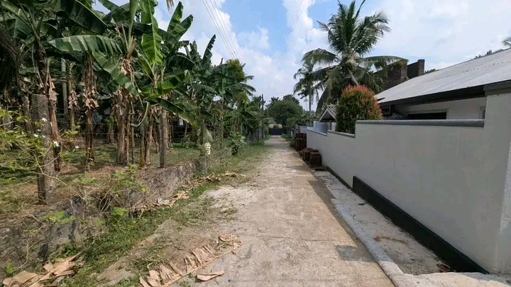 Commercial Land for Sale in Weliveriya