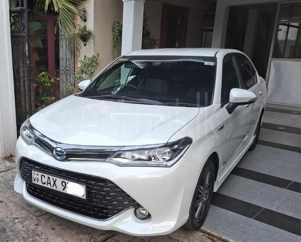 Advertisement image 1