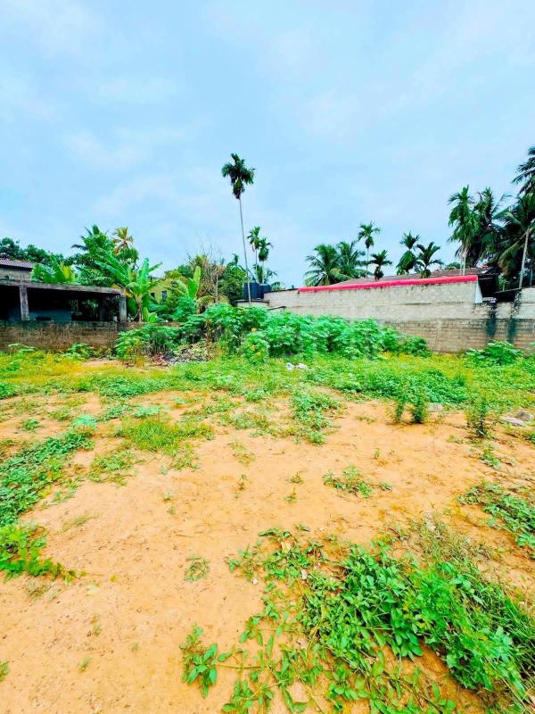 Residential Land for Sale in Wellampitiya