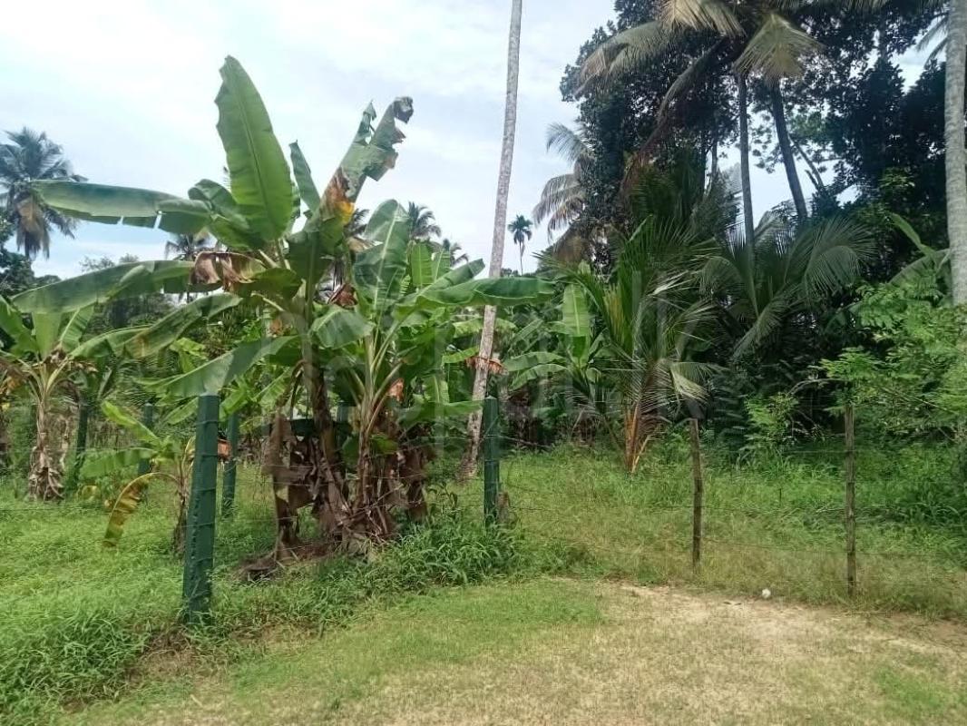 Residential Land for Sale in Kurunegala ads-image-1