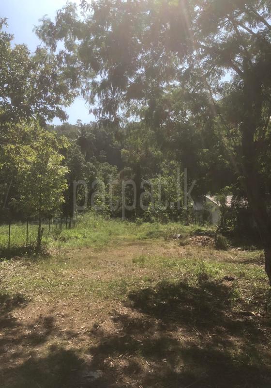 Commercial Land for Sale in Unawatuna