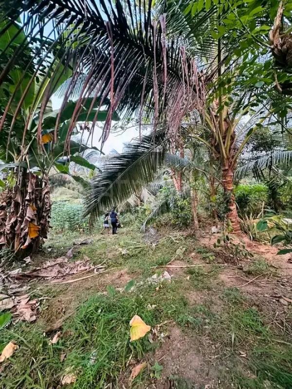 Residential Land for Sale in Millaniya ads-image-1