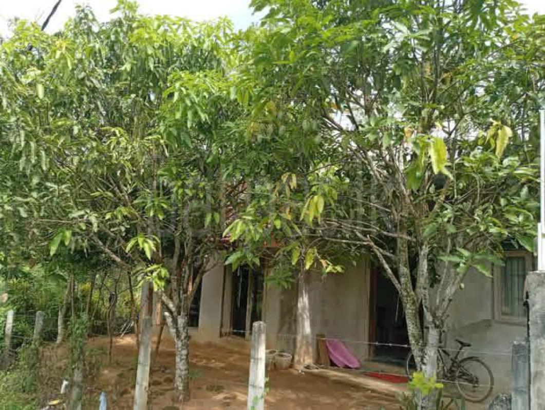 House for Sale in Kumbuka