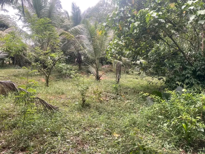 Commercial Land for Sale in Homagama