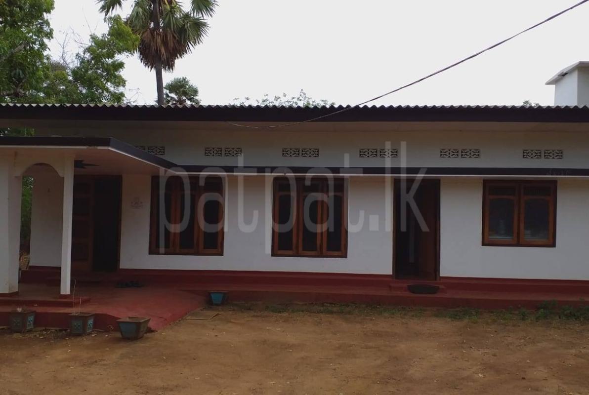 Residential Land for Sale in Chunnakam ads-image-1