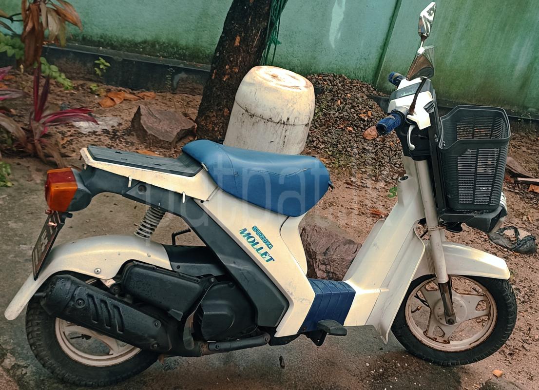 Advertisement image 5