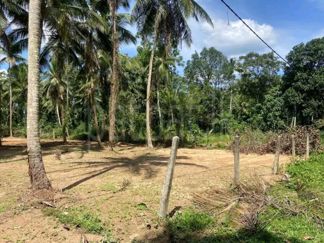 Commercial Land for Sale in Veyangoda