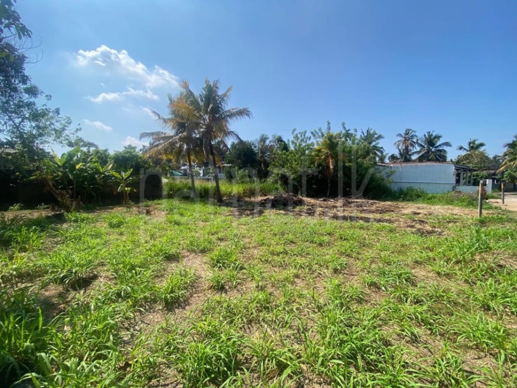 Residential Land for Sale in Rajagiriya