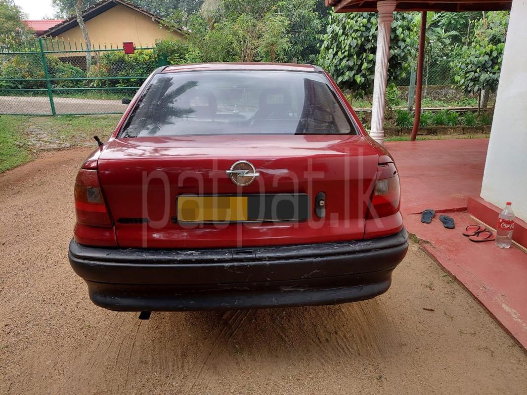 Advertisement image 2