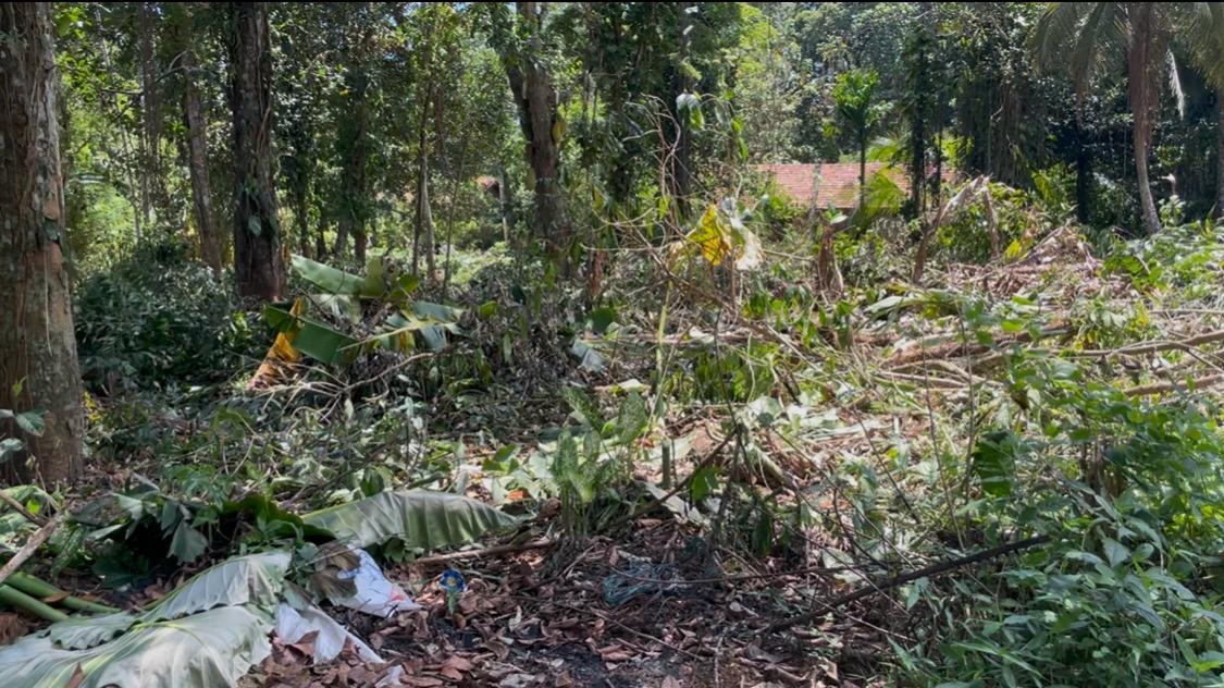 Commercial Land for Sale in Yatiyana