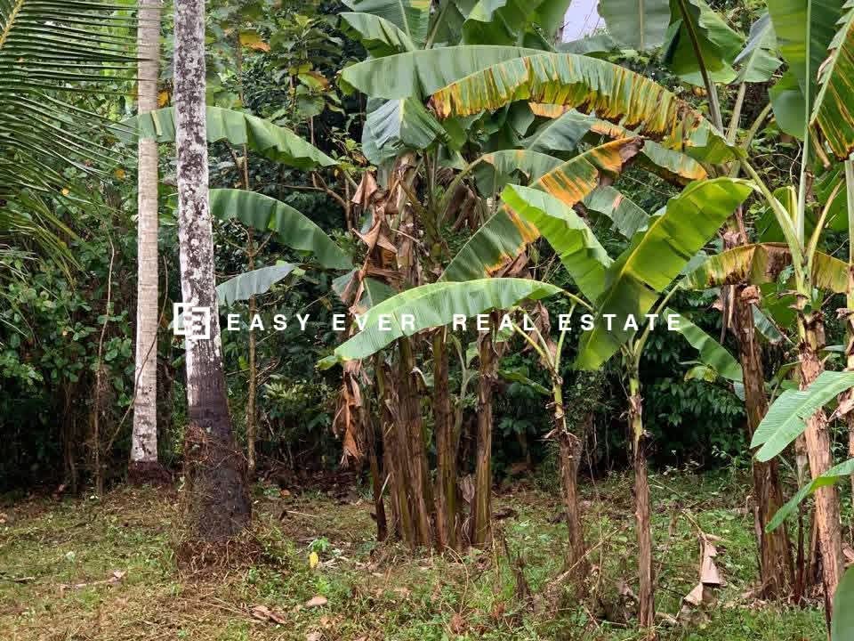 Residential Land for Sale in Giriulla