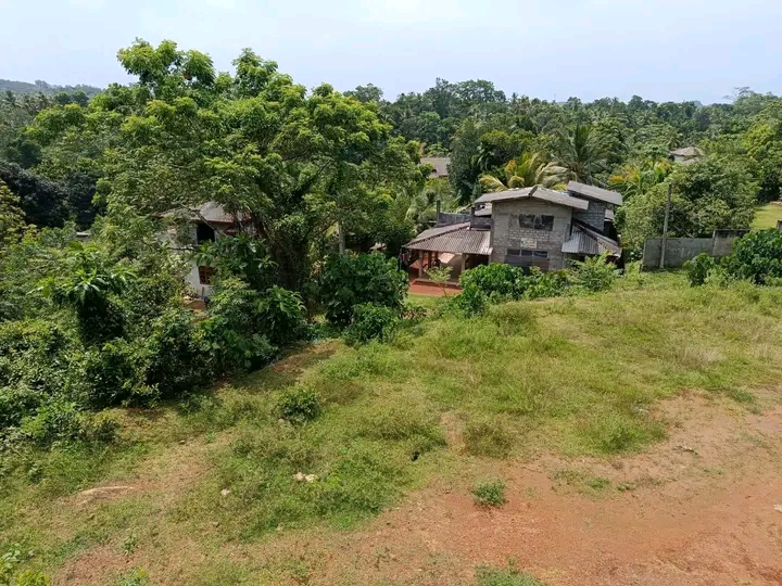 Commercial Land for Sale in Gamagoda