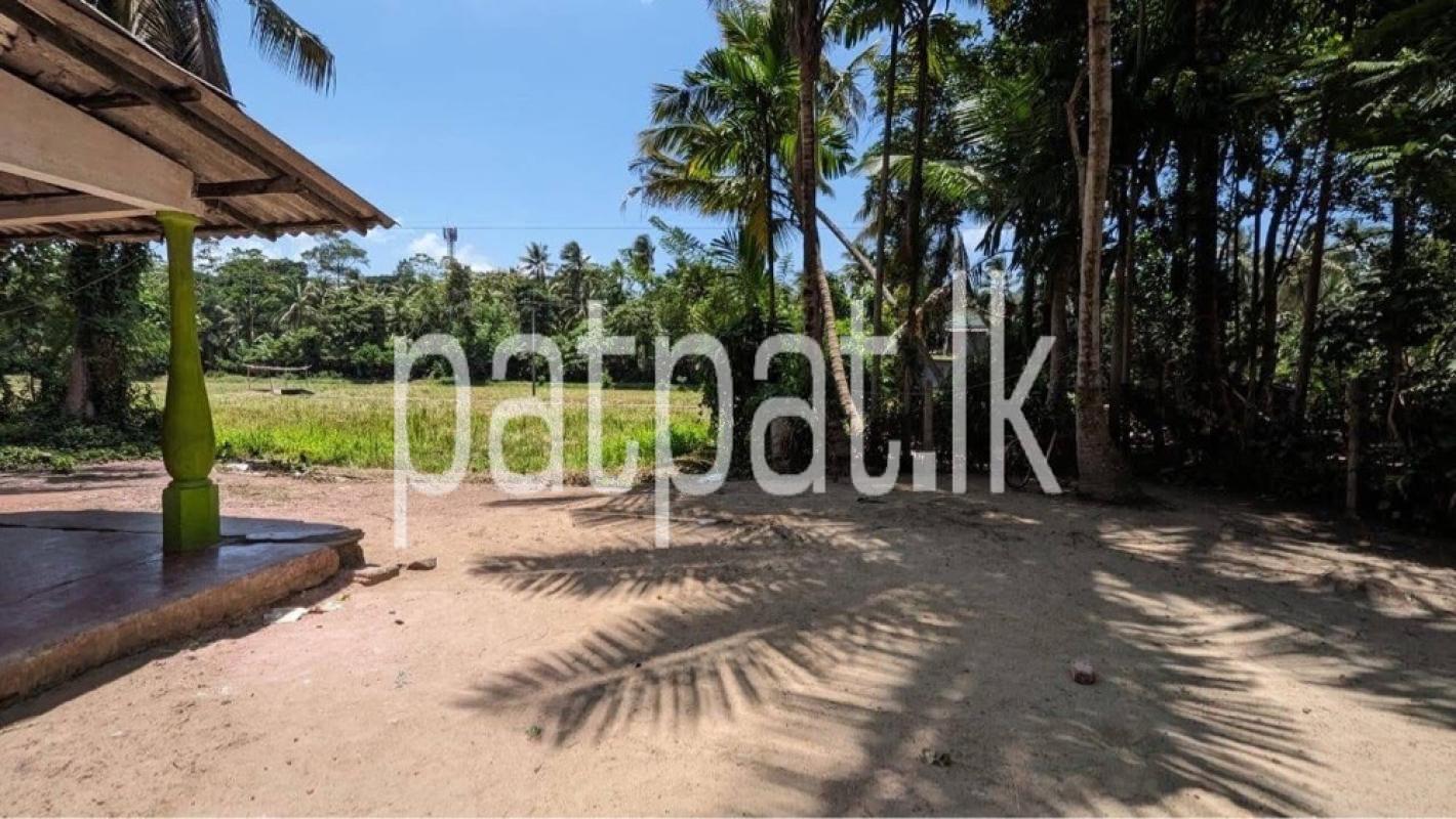 Advertisement image 6