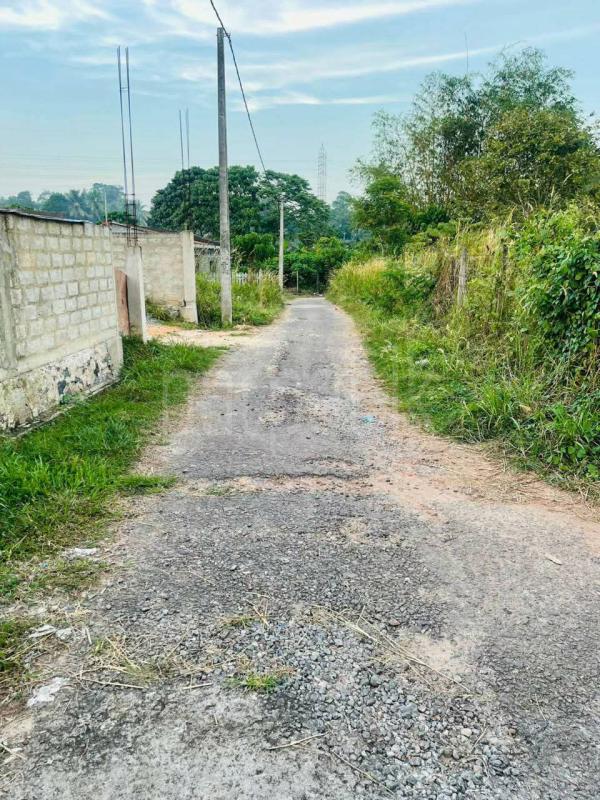 Commercial Land for Sale in Panadura ads-image-1