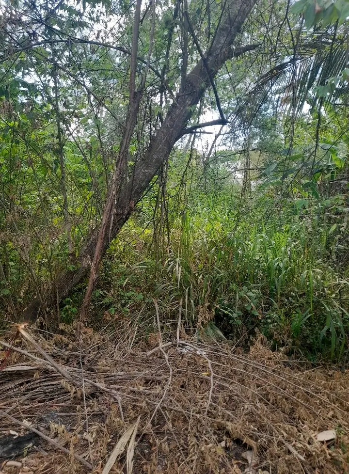 Residential Land for Sale in Ranna