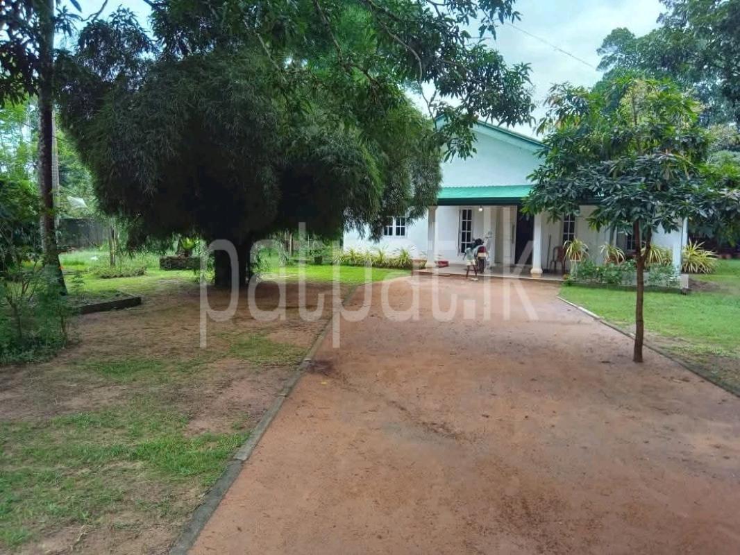 Residential Land for Sale in Ja-Ela