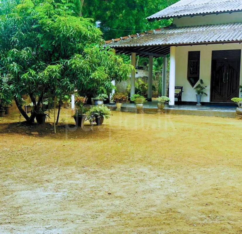 Residential Land for Sale in Kataragama
