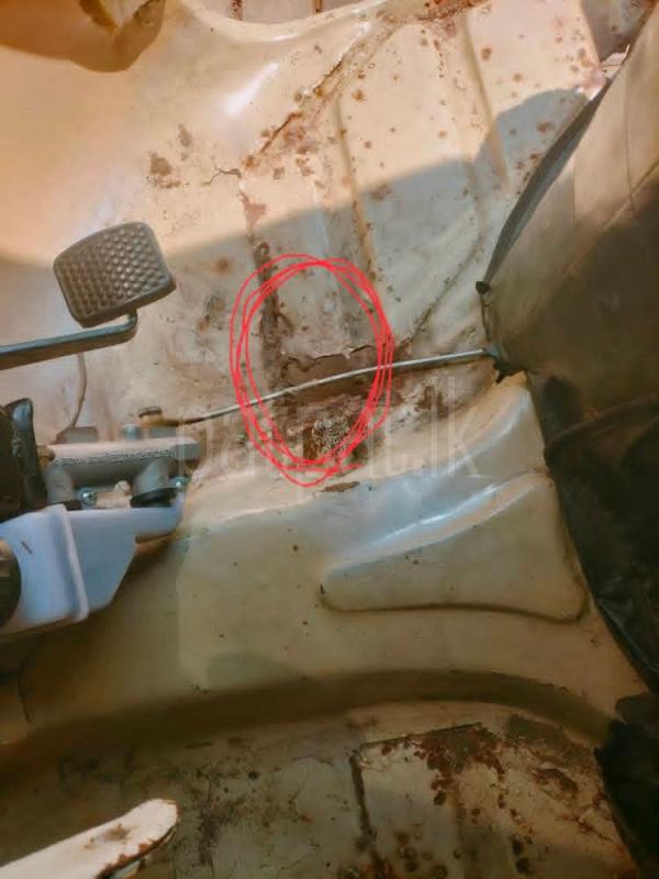 Advertisement image 6