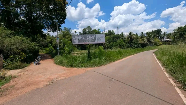 Commercial Land for Sale in Kalagedihena