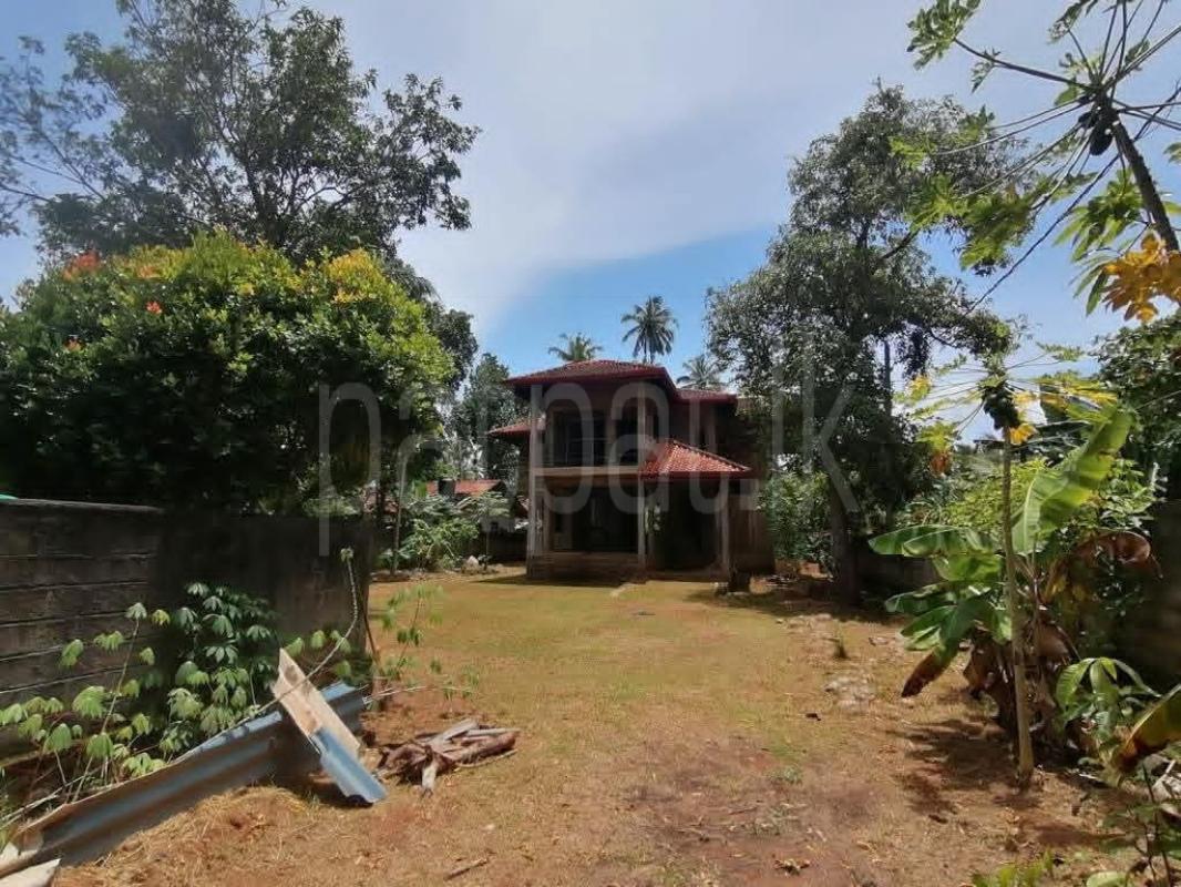 House for Sale in Beruwala ads-image-1