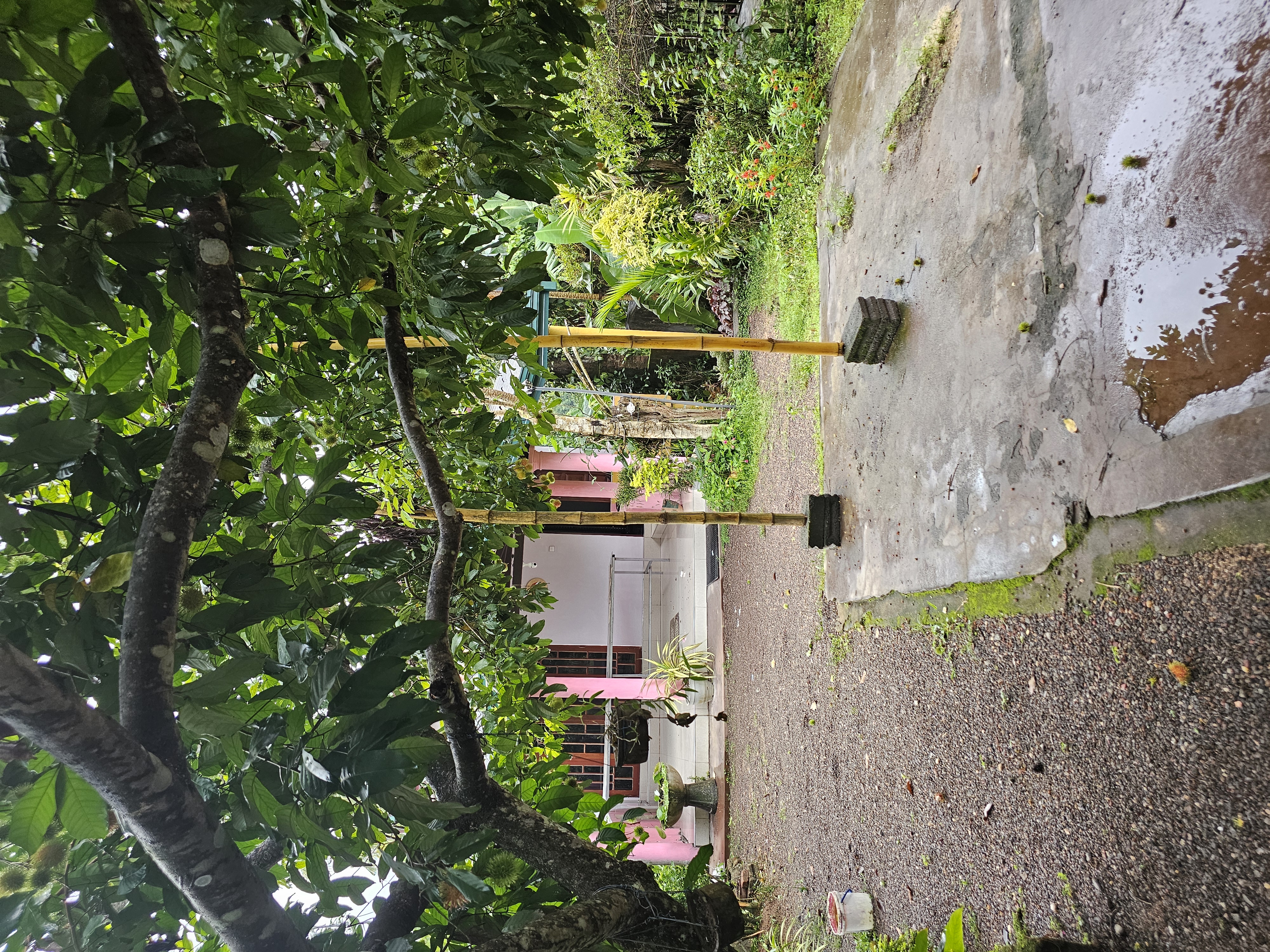 Partition for Rent in Bemmulla