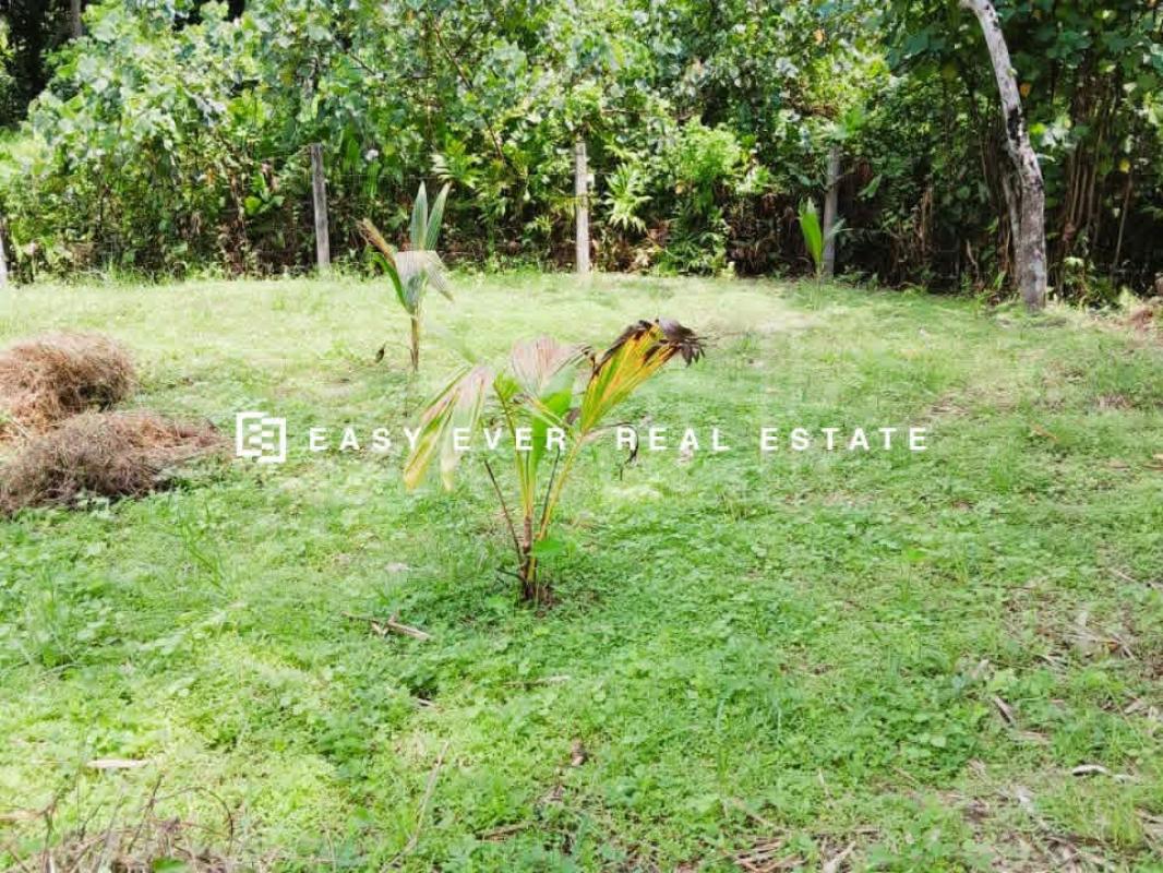 Residential Land for Sale in Udugampola