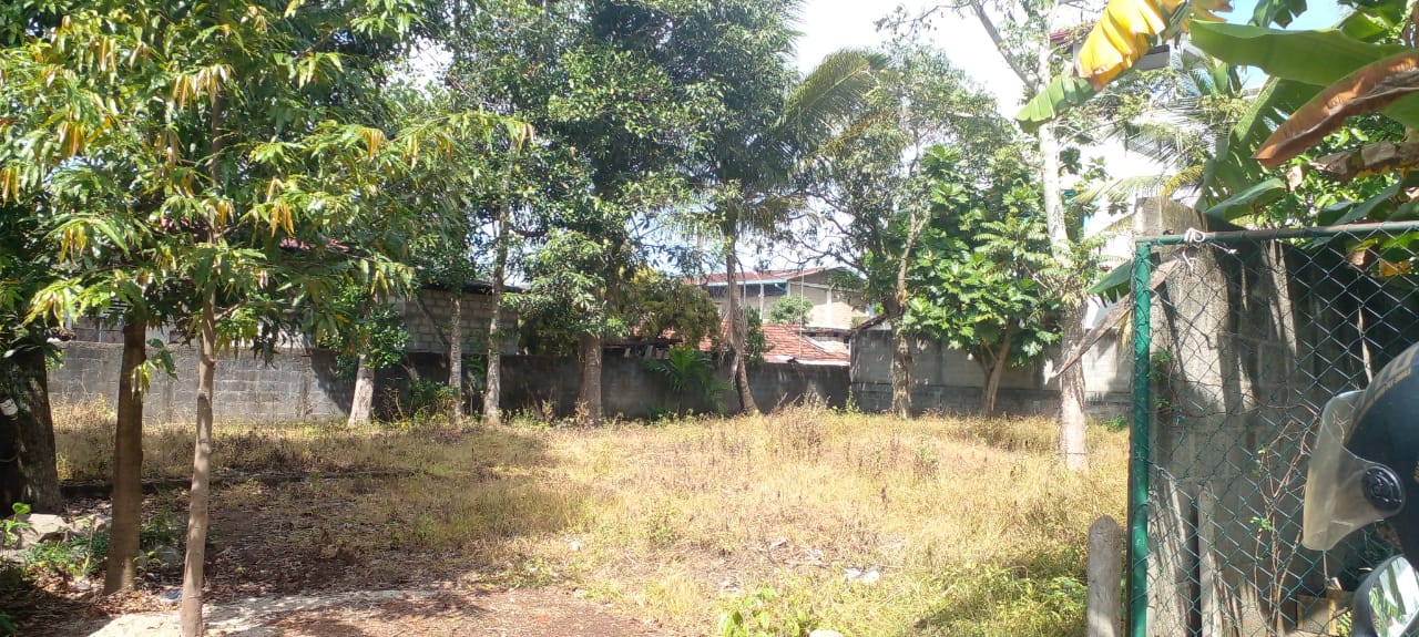 Commercial Land for Sale in Ekala ads-image-1