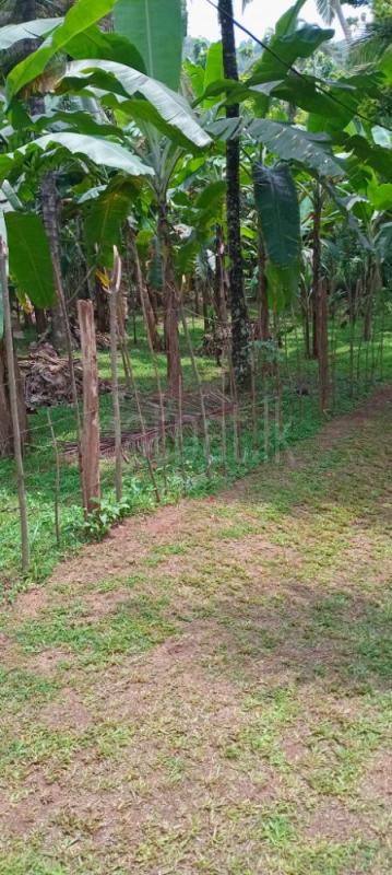 Agricultural Land for Sale in Kurunegala