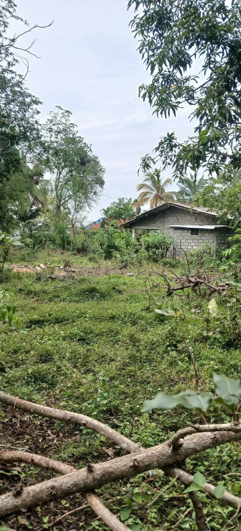 Residential Land for Sale in Kataragama